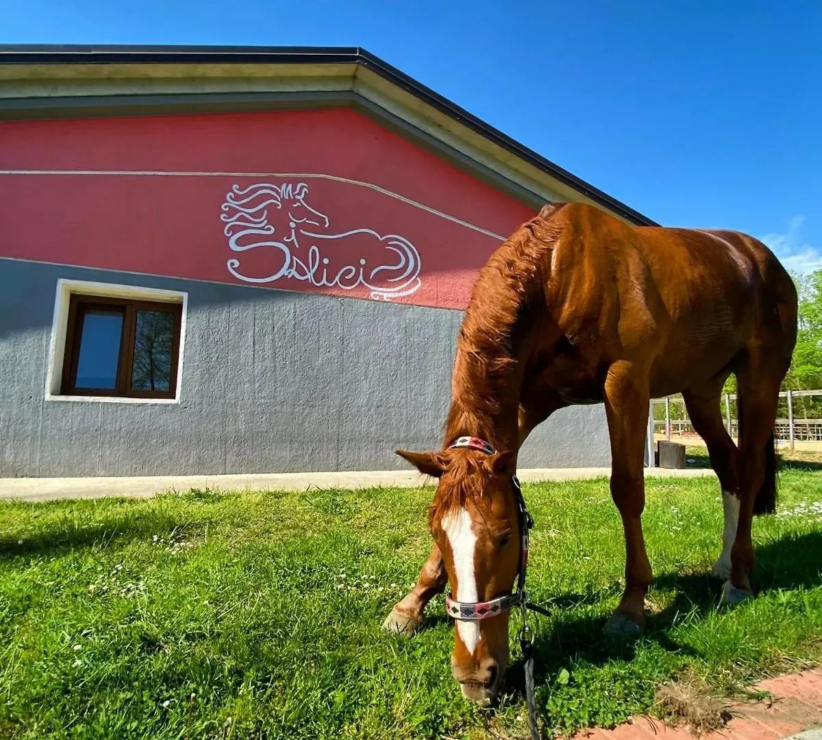 Casa Vacanze Centro Ippico I Salici Villa Clivio
